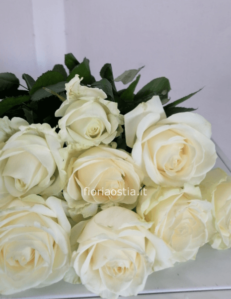 bouquet di rose bianche