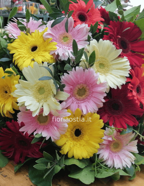 Bouquet di gerbere