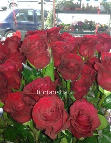 5 rose rosse stelo 70/80 cm