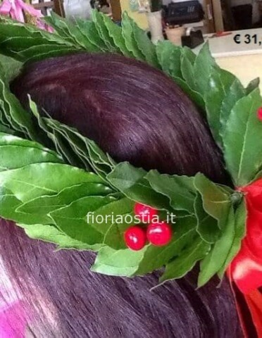 coroncina laurea