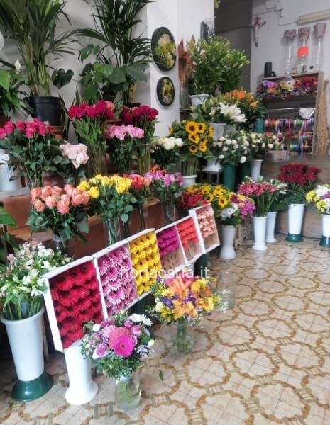 Omaggio da concordare a telefono al 3295664642