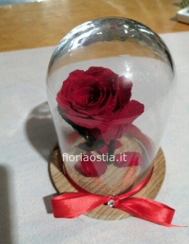 ROSA IN TECA