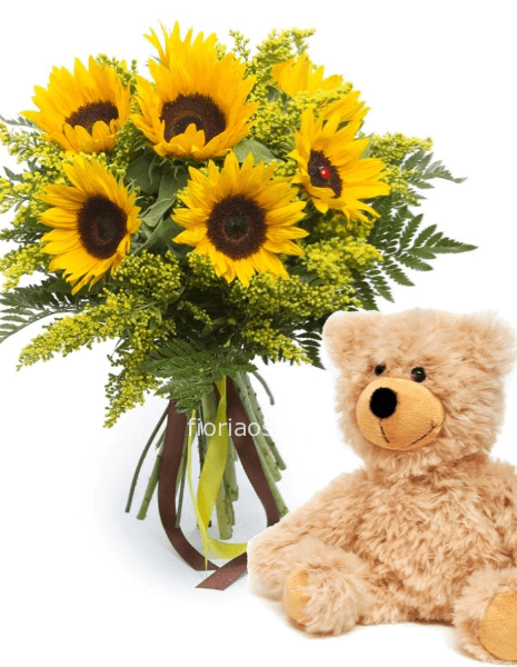 girasoli +peluche
