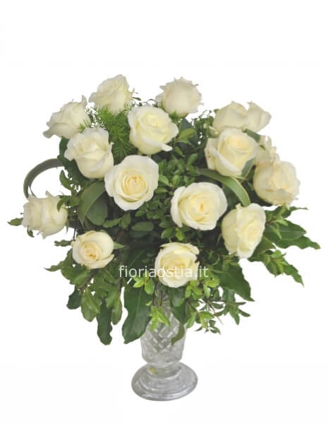 Rose bianche