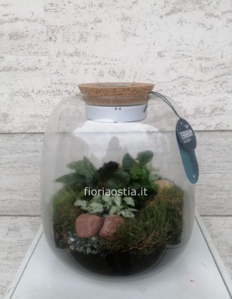 Terrarium