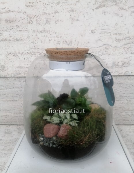 Terrarium