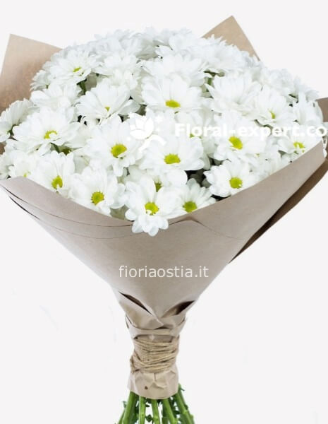 Margherite bianche