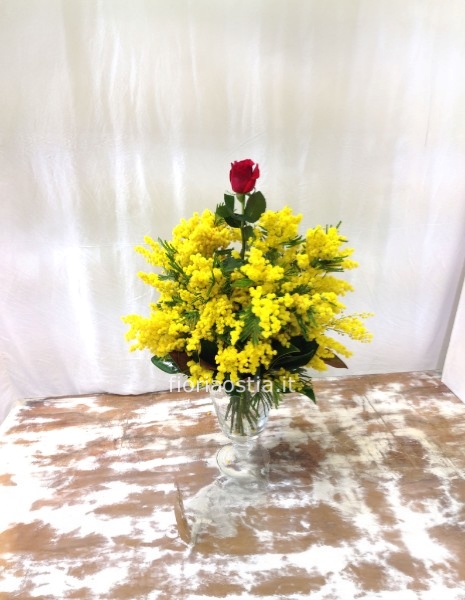 Mimosa e rosa rossa