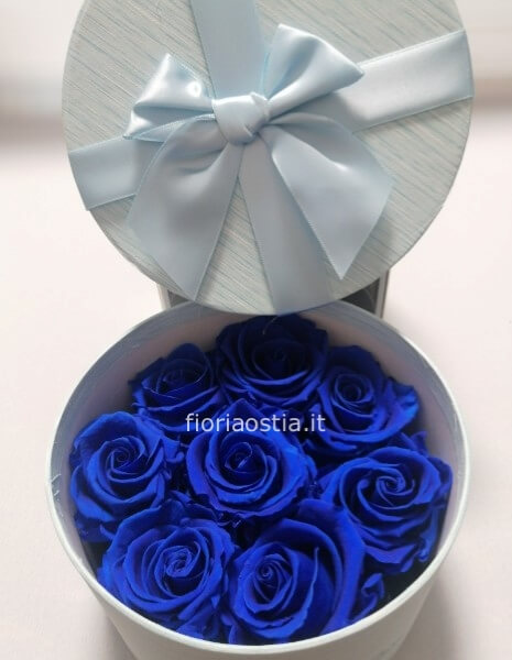 Box rose eterne