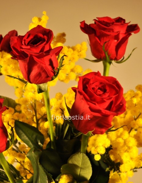 Tre rose rosse e mimosa