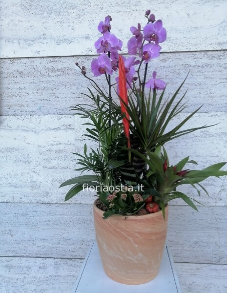 Composizione del fiorista