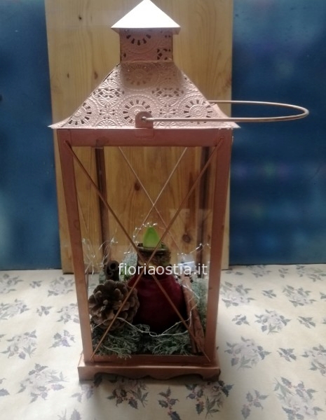 Lanterna con amarillis