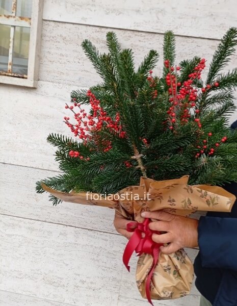 Mazzo di abete e ilex