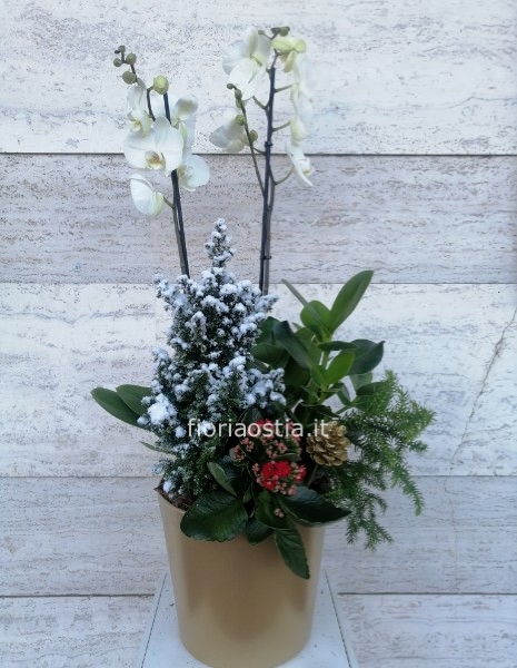 Composizione Natalizia