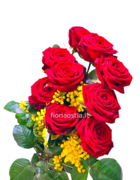 3 Rose rosse e Mimosa