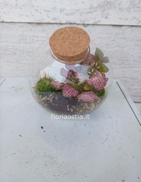 Mini terrarium