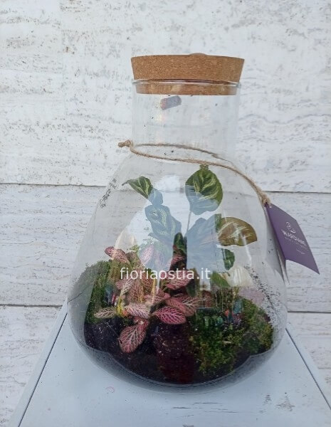 Terrarium